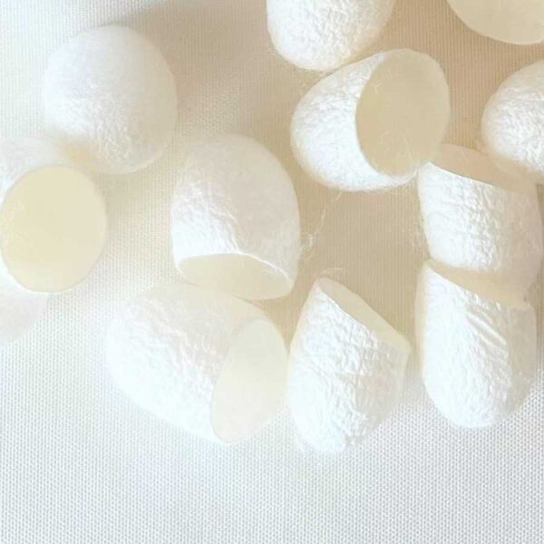 EXFOLIATING SILK COCOONS