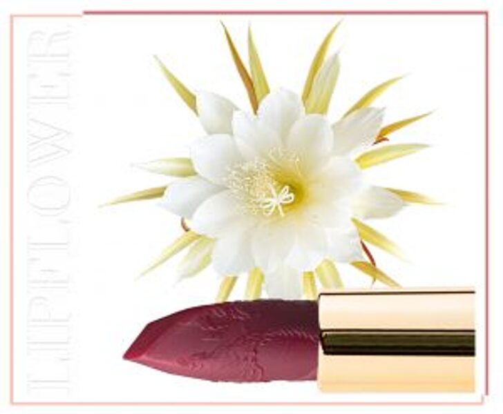 Lip Flower Lipstick Night Blooming Cereus 184