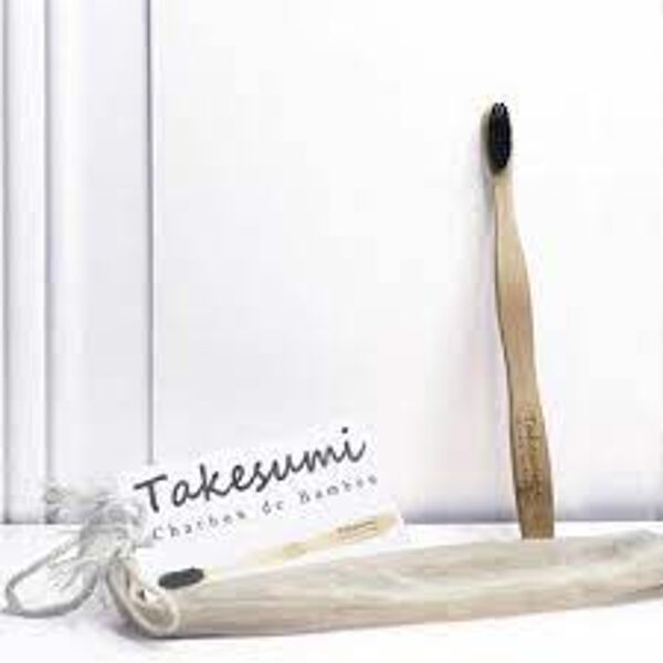 Takesumi toothbrush